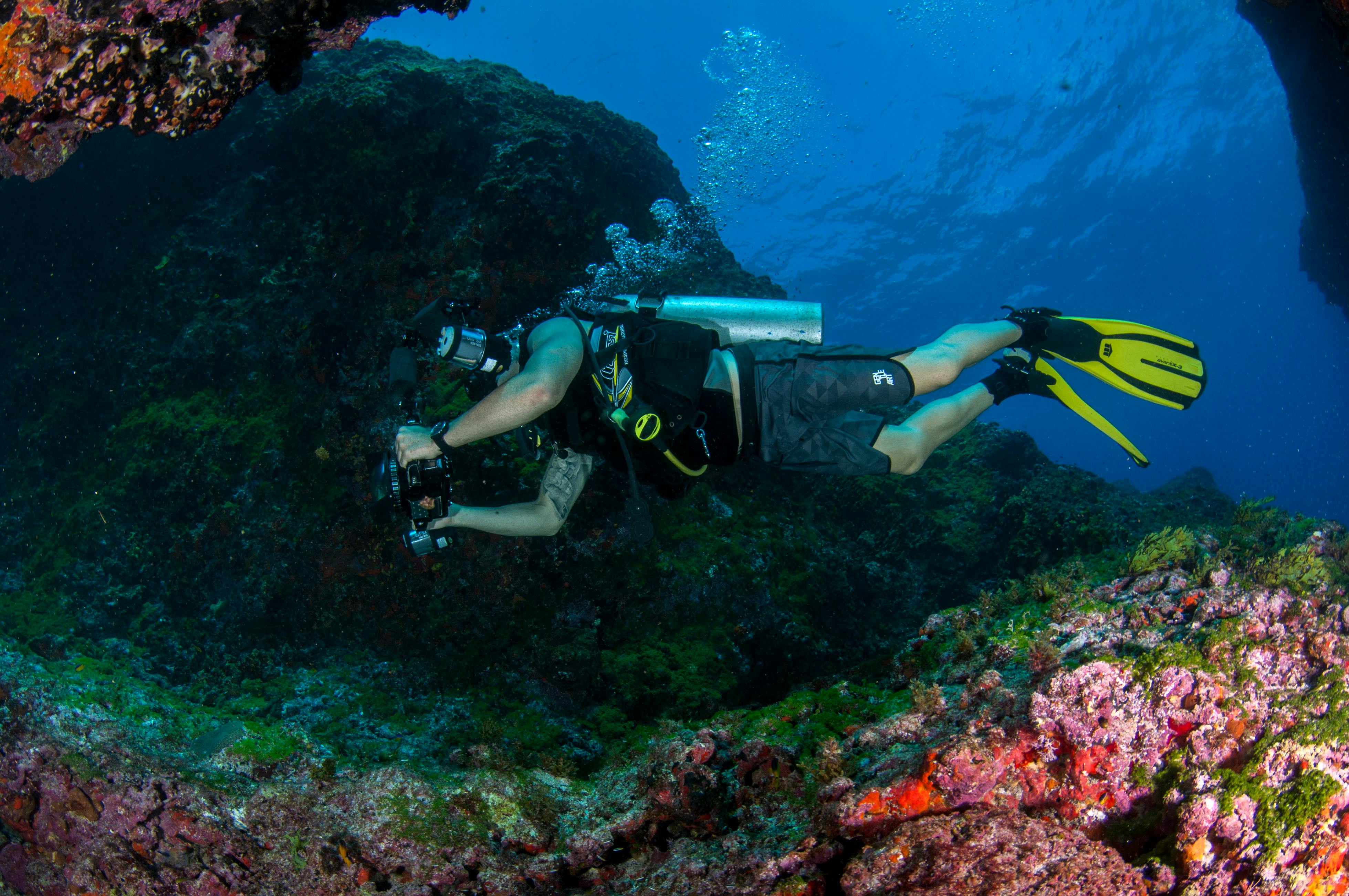 Vibrant coral reef diving in Maui Hawaii with tropical fish and clear water