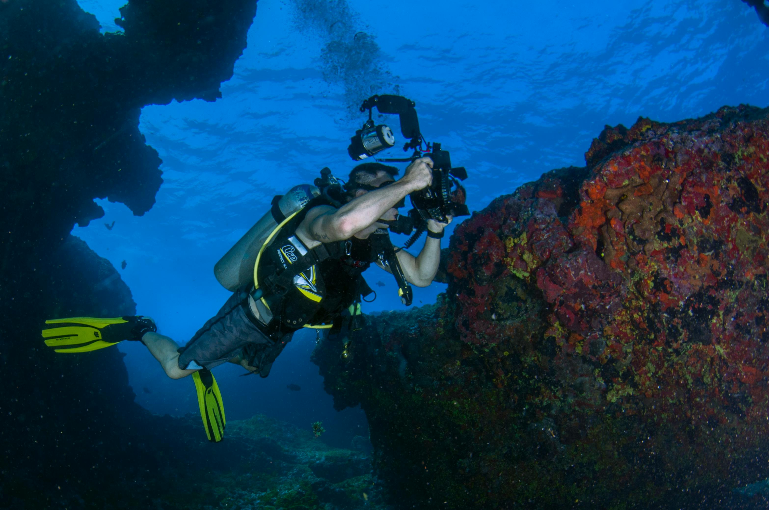Scuba divers of all skill levels exploring Hawaii's vibrant coral reef ecosystems